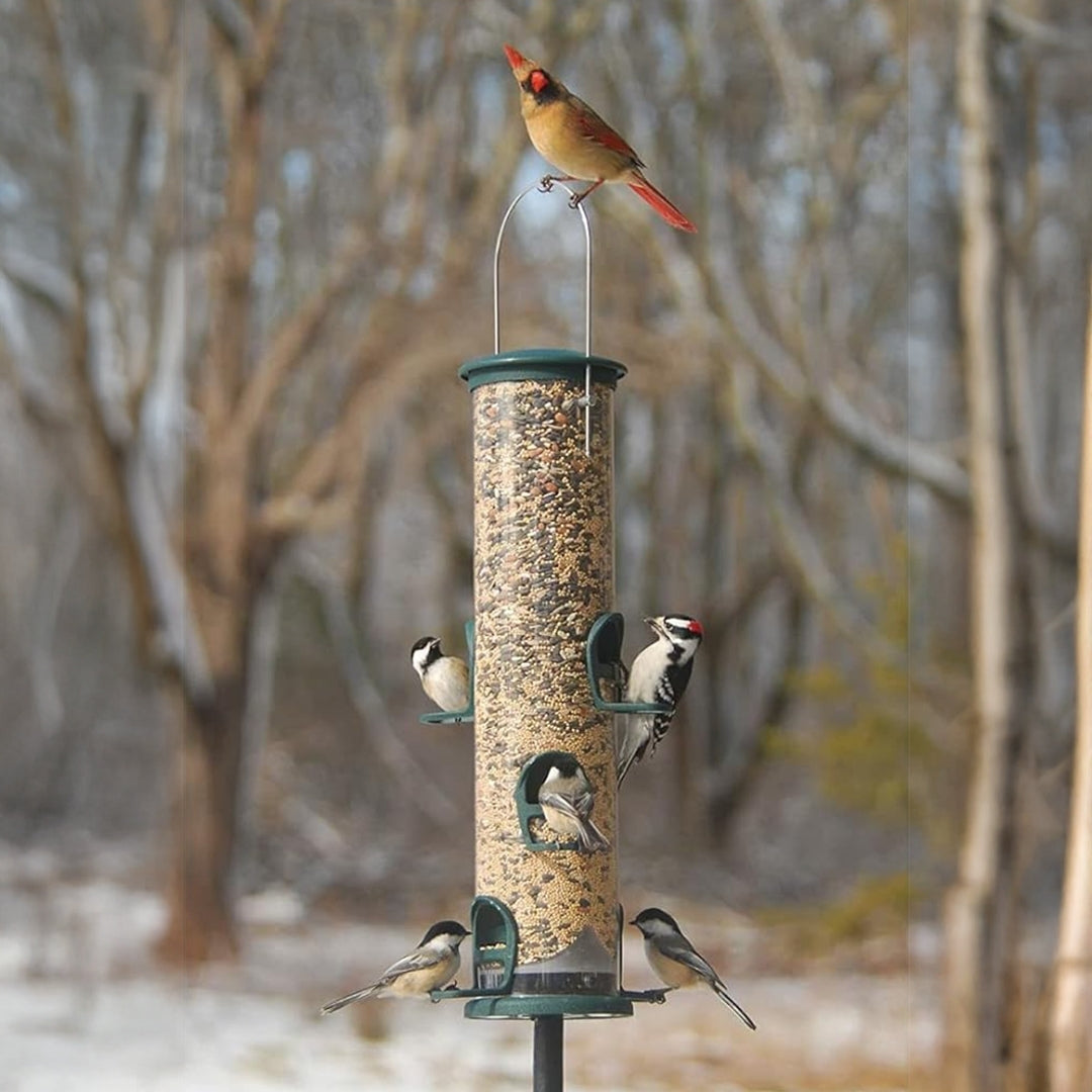 Durable Aspects Big Tube wild bird feeder in spruce, perfect for feeding multiple bird species